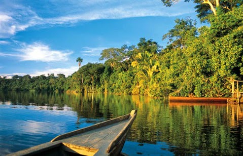 A breathtaking view of Manu National Park in Madre de Dios, Peru, featuring dense rainforest, winding rivers, and exotic wildlife like macaws and jaguars.