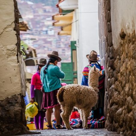 Escena callejera en Cusco, Perú, donde un grupo de mujeres con vestimenta tradicional conversa en un callejón empedrado, acompañadas por una llama. Al fondo, se observa la arquitectura andina con casas de adobe y techos de teja.