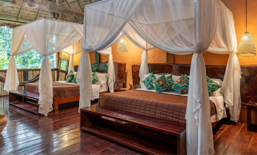 Luxury jungle lodge room with canopy beds and tropical decor, surrounded by nature.